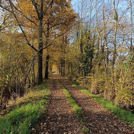 Chez Christy Chemin Des Dinots