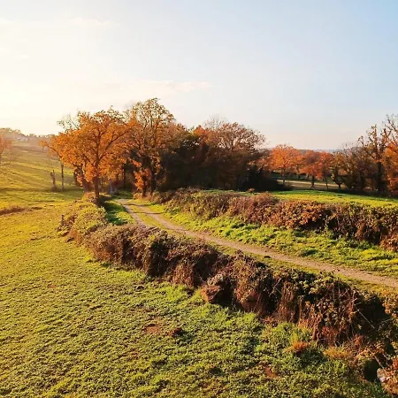 Chez Christy Chemin Des Dinots
